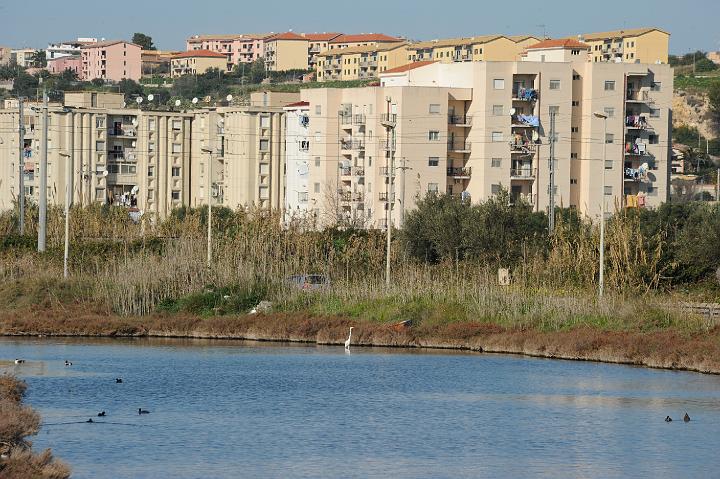 2Saline di Augusta 16.1.2011 (46).JPG